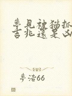 梦见被猫抓了是吉兆还是凶兆