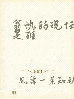 翁帆的现任丈夫是谁