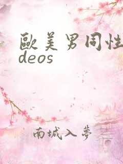 欧美男同性videos