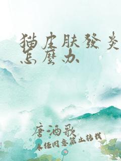 猫皮肤发炎化脓怎么办