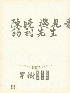 陈晓 遇见爱情的利先生