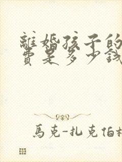 离婚孩子的抚养费是多少钱一个月