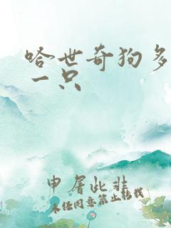 哈世奇狗多少钱一只