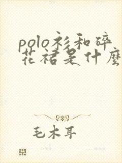 polo衫和碎花裙是什么梗