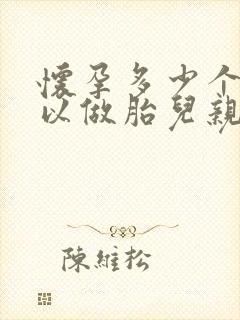 怀孕多少个月可以做胎儿亲子鉴定呢