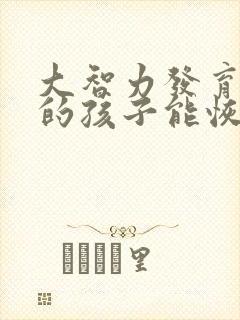 大智力发育迟缓的孩子能恢复正常吗