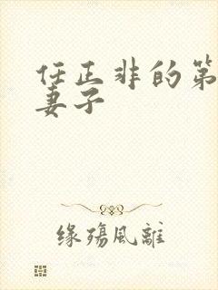 任正非的第一任妻子