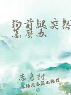 狗前腿突然瘸了怎么办