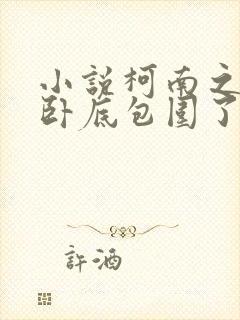 小说柯南之我被卧底包围了下载