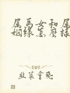 属马女和属兔男姻缘怎么样