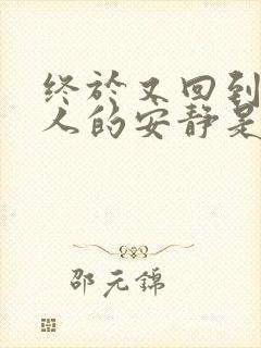 终于又回到一个人的安静是什么歌