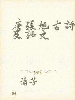 唐张旭古诗四帖及译文