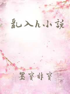 乱入h小说