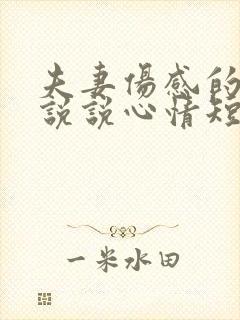 夫妻伤感的句子说说心情短语