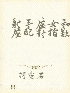 射手座女和摩羯座配对指数