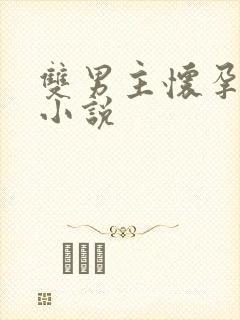 双男主怀孕生崽小说