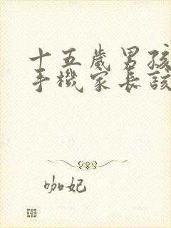 十五岁男孩沉迷手机家长该怎么做