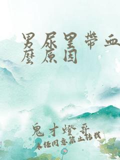 男尿里带血是什么原因