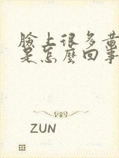 脸上很多黄褐斑是怎么回事