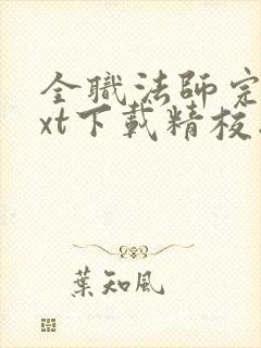 全职法师完本txt下载精校版