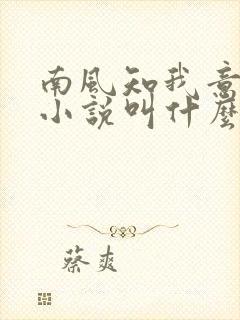 南风知我意原著小说叫什么