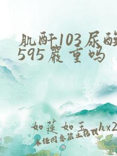 肌酐103尿酸595严重吗