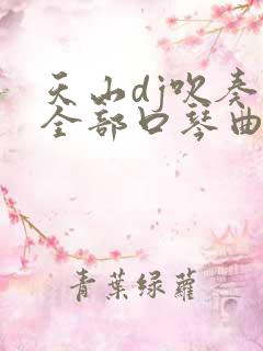 天山dj吹奏的全部口琴曲视频