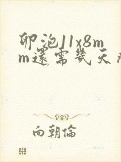 卵泡11x8mm还需几天成熟