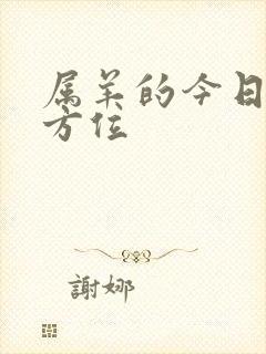 属羊的今日财运方位