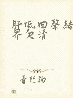 肝低回声结节边界欠清