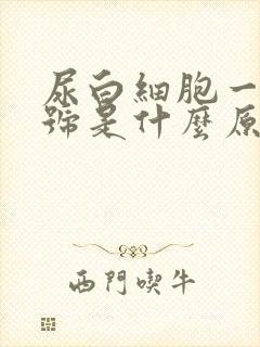 尿白细胞一个加号是什么原因