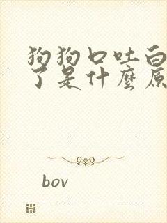 狗狗口吐白沫死了是什么原因