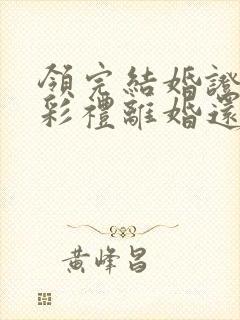 领完结婚证给的彩礼离婚还用退吗