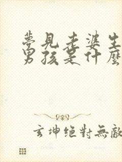 梦见老婆生了个男孩是什么征兆