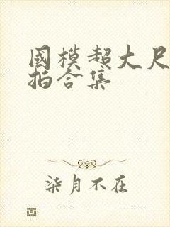 国模超大尺度私拍合集