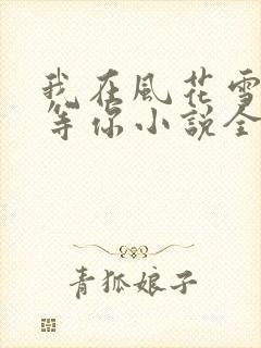 我在风花雪月里等你小说全文阅读