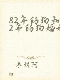 82年的狗和82年的狗婚姻怎么样