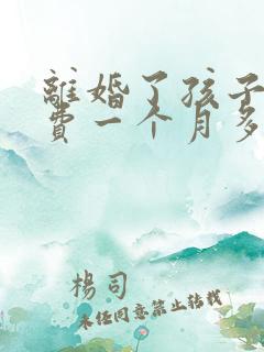 离婚了孩子抚养费一个月多少钱