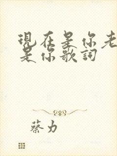 现在是你老了也是你歌词