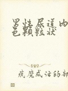 男性尿道内有白色颗粒状