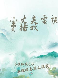 小丈夫电视剧免费播放