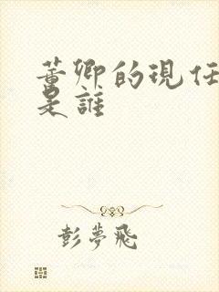 董卿的现任丈夫是谁