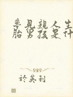 梦见亲人生双胞胎男孩是什么意思