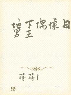 地下偶像日漫双男主