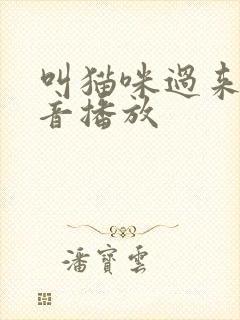 叫猫咪过来的声音播放