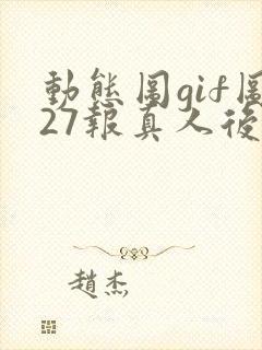 动态图gif图27报真人后式