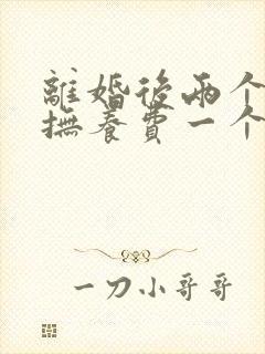 离婚后两个孩子抚养费一个月多少钱