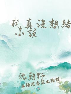 我真没想结婚啊 小说