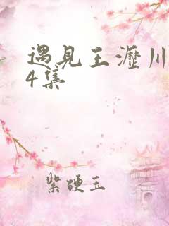 遇见王沥川第24集