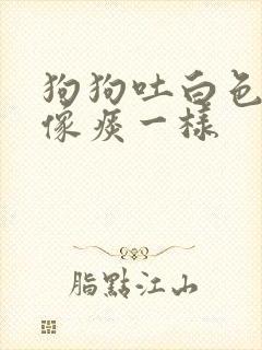 狗狗吐白色粘液像痰一样